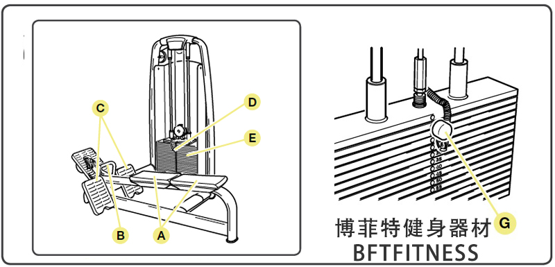 坐姿划船向日葵视频网页版