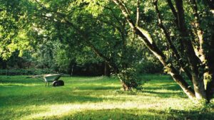 Read more about the article Navigating Dense Tree Canopies and Tall Buildings with Hybrid Vision-RTK Mowers