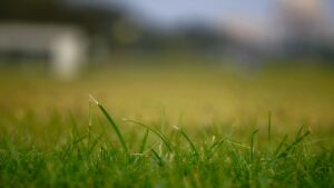 Read more about the article Setting Virtual Boundaries, No-Go Zones, and Passage Corridors in Mower Apps