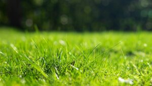 Read more about the article Slope Climbing and Wet Turf Traction: Wheel Spikes and Angle Limits for Robot Mowers