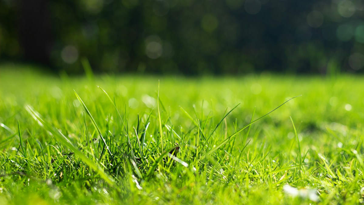 Read more about the article Slope Climbing and Wet Turf Traction: Wheel Spikes and Angle Limits for Robot Mowers