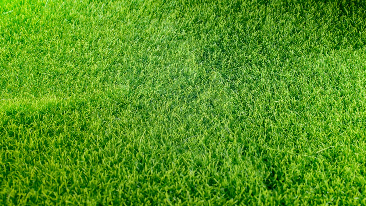 Read more about the article Winterizing Robotic Lawn Mowers: Battery Storage, Dock Maintenance, and Blade Care